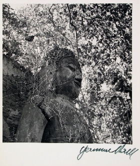 Siam Nord. Statue de Budah dans la fôret (XIIe) à Chiengsen (Thailand)